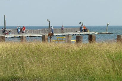 Port Mansfield Fredstone Park